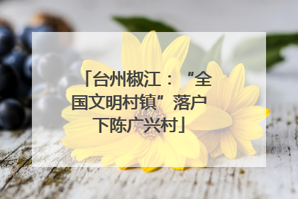 台州椒江：“全国文明村镇”落户下陈广兴村