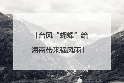 台风“蝴蝶”给海南带来强风雨