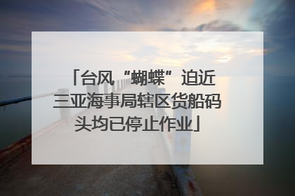 台风“蝴蝶”迫近 三亚海事局辖区货船码头均已停止作业