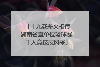 十九载薪火相传 湖南省直单位篮球赛千人竞技展风采