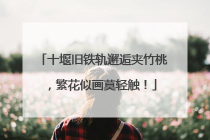 十堰旧铁轨邂逅夹竹桃，繁花似画莫轻触！