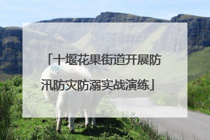 十堰花果街道开展防汛防灾防溺实战演练