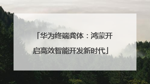 华为终端龚体：鸿蒙开启高效智能开发新时代