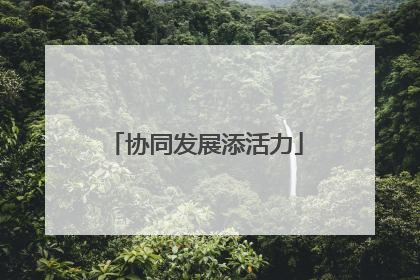 协同发展添活力