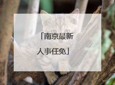 南京最新人事任免