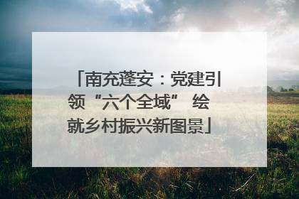 南充蓬安：党建引领“六个全域” 绘就乡村振兴新图景