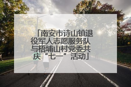 南安市诗山镇退役军人志愿服务队与梧埔山村党委共庆“七一”活动