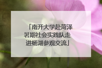 南开大学赴菏泽暑期社会实践队走进杨湖参观交流