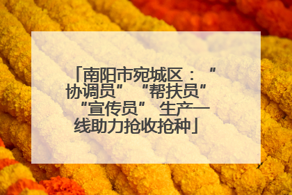 南阳市宛城区：“协调员”“帮扶员”“宣传员” 生产一线助力抢收抢种