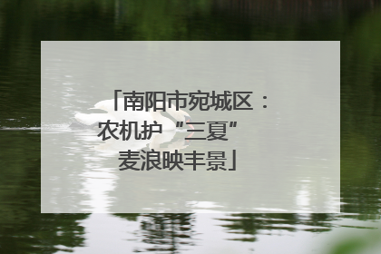 南阳市宛城区：农机护“三夏” 麦浪映丰景