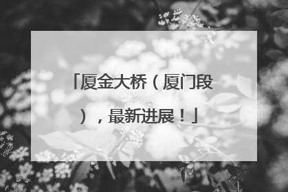 厦金大桥（厦门段），最新进展！
