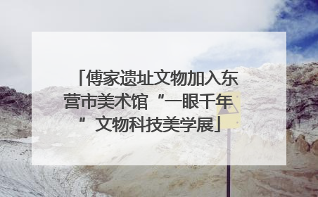 傅家遗址文物加入东营市美术馆“一眼千年”文物科技美学展