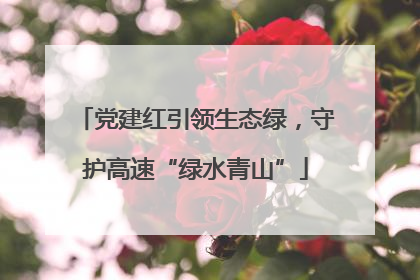 党建红引领生态绿，守护高速“绿水青山”