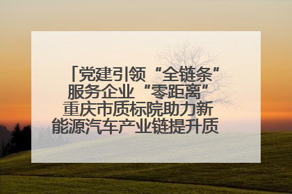 党建引领“全链条” 服务企业“零距离” 重庆市质标院助力新能源汽车产业链提升质量管理水平