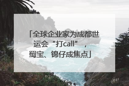 全球企业家为成都世运会“打call”，蜀宝、锦仔成焦点