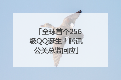 全球首个256级QQ诞生！腾讯公关总监回应
