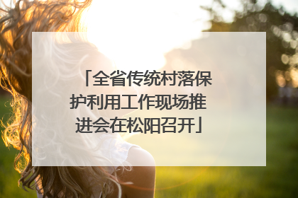 全省传统村落保护利用工作现场推进会在松阳召开
