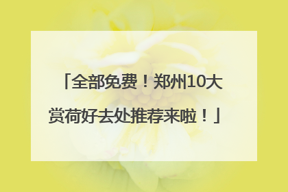 全部免费！郑州10大赏荷好去处推荐来啦！