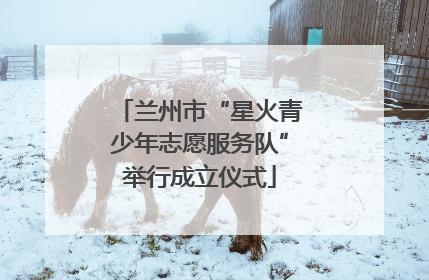 兰州市“星火青少年志愿服务队”举行成立仪式