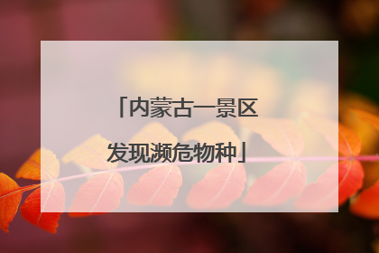 内蒙古一景区发现濒危物种