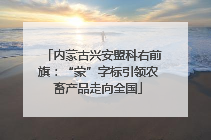 内蒙古兴安盟科右前旗：“蒙”字标引领农畜产品走向全国
