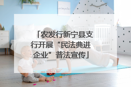 农发行新宁县支行开展“民法典进企业”普法宣传