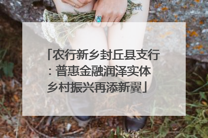 农行新乡封丘县支行：普惠金融润泽实体 乡村振兴再添新翼
