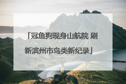 冠鱼狗现身山航院 刷新滨州市鸟类新纪录