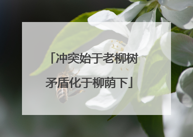 冲突始于老柳树 矛盾化于柳荫下
