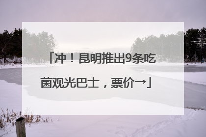 冲！昆明推出9条吃菌观光巴士，票价→