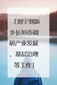 刘宁到新乡长垣市调研产业发展、基层治理等工作
