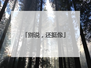 别说，还挺像