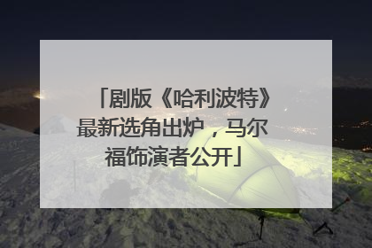 剧版《哈利波特》最新选角出炉，马尔福饰演者公开