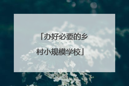 办好必要的乡村小规模学校