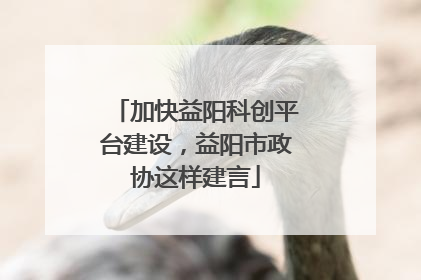 加快益阳科创平台建设，益阳市政协这样建言