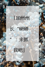 加州州长“硬刚”：来抓我吧