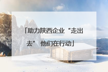 助力陕西企业“走出去” 他们在行动