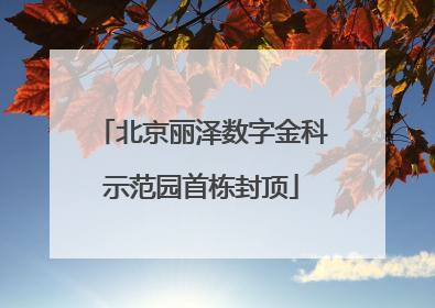 北京丽泽数字金科示范园首栋封顶