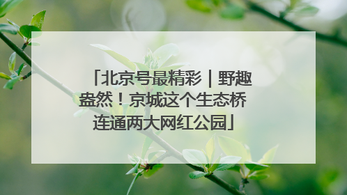 北京号最精彩｜野趣盎然！京城这个生态桥连通两大网红公园