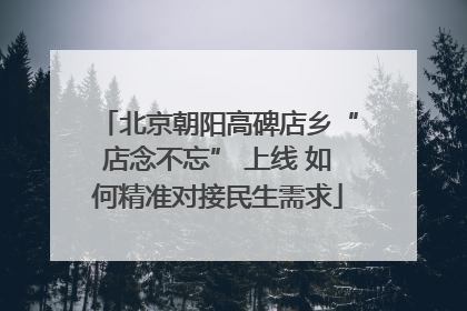 北京朝阳高碑店乡“店念不忘” 上线 如何精准对接民生需求