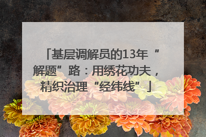 基层调解员的13年“解题”路：用绣花功夫，精织治理“经纬线”