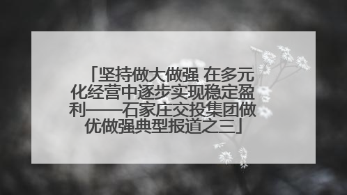 坚持做大做强 在多元化经营中逐步实现稳定盈利——石家庄交投集团做优做强典型报道之三