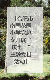 合肥市南国花园小学党总支开展“庆七一”主题党日活动
