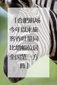 合肥机场今年以来旅客吞吐量同比增幅位居全国第一方阵