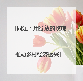 同江：用绽放的玫瑰 推动乡村经济振兴