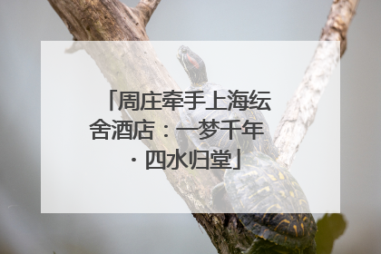 周庄牵手上海纭舍酒店：一梦千年・四水归堂