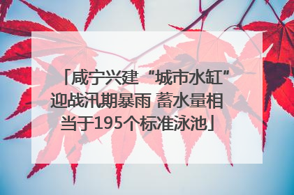咸宁兴建“城市水缸”迎战汛期暴雨 蓄水量相当于195个标准泳池