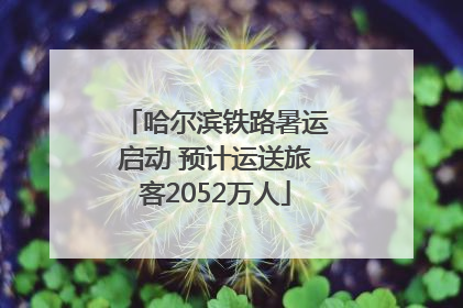 哈尔滨铁路暑运启动 预计运送旅客2052万人