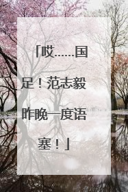 哎……国足！范志毅昨晚一度语塞！