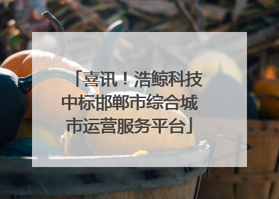 喜讯！浩鲸科技中标邯郸市综合城市运营服务平台